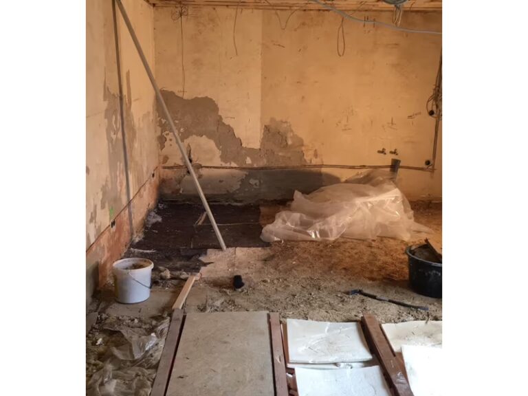 32b77684-ce4a-475c-a0f0-f1dea5557b4b_ergebnis